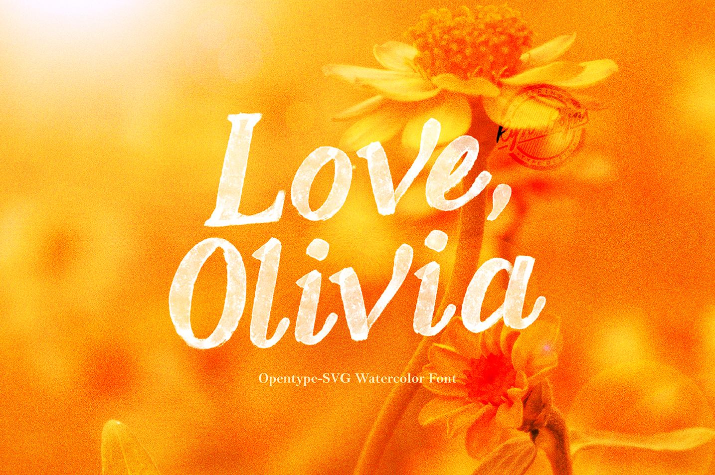 Love, Olivia